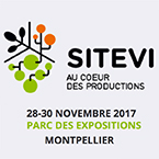 sitevi