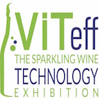 LOGO VITEFF 2017