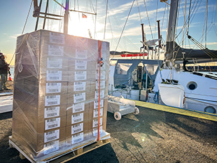 dechargement Grain de Sail Port Elizabeth